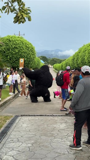 Bienvenidos a Din Kong Resort Park en Cochabamba