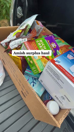 $2 Sunscreen in Amish Country: A Steal or Sustainable Living?