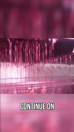 The Science of Grape Skin and Juice Extraction! | Food Factory