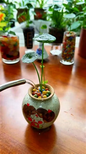 Grow flowers during those days at home Grow flowers to cultivate the mind Flowers and green plants My flower | POV99