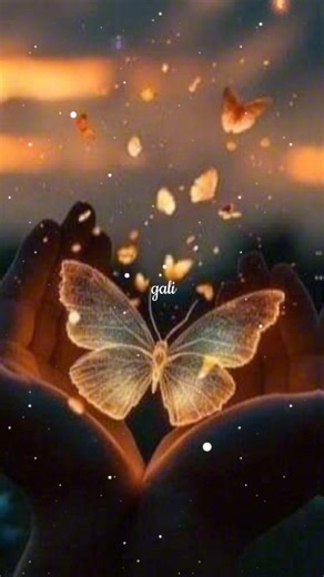 pyar ki gali 💞 . . . . . . . . . . . #effect #view #instagram #création | S Sanaya