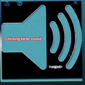 ‏chirping bird , Chirping birds, chirping birds sound, chirping birds Sounds , chirping birds effect