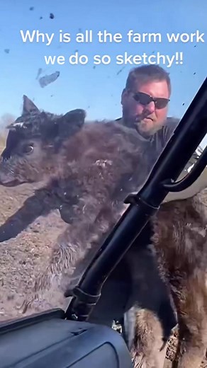 Once you realize something is morally wrong, you don’t need to take ‘baby steps’ toward doing what you have already recognized is right. You just do it. If you realize that exploiting animals is wrong and you continue to do so, then you really don’t believe it’s wrong to exploit animals or you just don’t care. There is no third choice. #govegan #fortheanimals #fyp #dairy #milk #cheese #tiktok #fypシ゚ #trending #foryou #rescuedog #meat #meatlovers #meatballs #meatless #meateater #cows #bbbbbbbbbbb