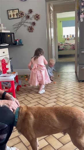 Darla renly | Pauline Franklin