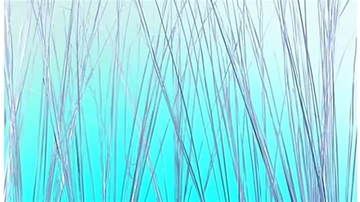 08 World Animals: A Musical Safari 2003 DVD in G Major