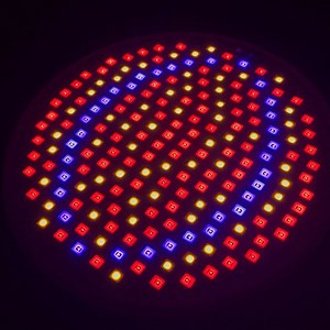 Photons: What are they? What are they used for? and more ▷➡️ Postposmo