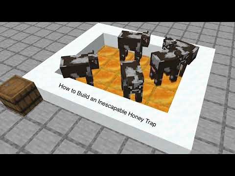 How to build an Inescapable Honey Trap