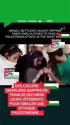 Vidéos de French woman human ❤️ (@frenchsmartboldwoman) avec son original - French woman human ❤️