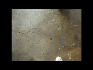 Girls revving motorcycles