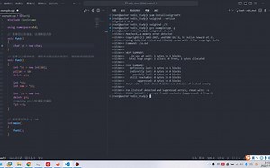 C  _内存检测工具valgrind快速入门_14.0_雷丁