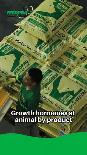 Feedpro is the first and leading natural hog feed in the Philippines #Feedpro #BabuyangWalangAmoy #NaturalHogFeed #lamangnatural #deworming #FastFeedFermentation #healthymeat #naturalmeat #agribusiness #naturalfarming #hogs #swine #fbreelsvideo #fbreelsvideo #Feedpro #AlagangPro #reelsvideoシ #reelsviral2024 #reelsvideo #viralvideostoda #Feedpro #BabuyangWalangAmoy #NaturalHogFeed #lamangnatural #deworming #FastFeedFermentation #healthymeat #naturalmeat #agribusiness #naturalfarming #hogs #swine 