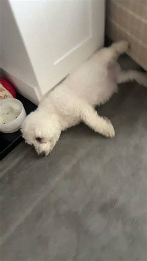 The most awkward sleeping position