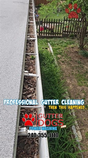 Hyattsville MD Gutters Were Clogged Bad — Then This Happened!