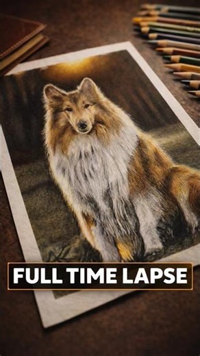 How I Drew This Hyper-Realistic Dog Using ONLY Color Pencils 🐕#arts # sketch #doglover #pencilart