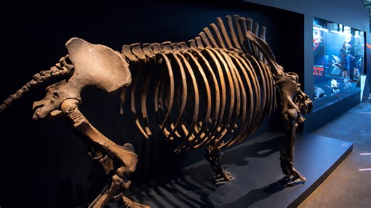 Exploring Germany’s historic industrial heritage site