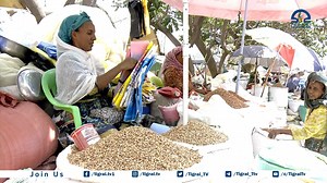 31K views · 1.1K reactions | ፃዕራማት ኣዴታት ክነላልየኩም ---- "ልመናን ምፅዋትን ንዝፅየፍ ሰብ ናይ ስራሕ ዓብዪን ንእሽተን የለን" በሃልቲ እየን እዘን ቆሎ ኣብ ምሻጥ ዝተዋፈራ ኣዴታት ነበርቲ መቐለ | Tigrai Television | Facebook