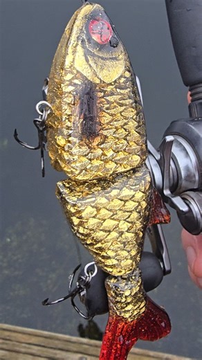 #fishing #lure #handmade #lurefishing #alien_predator_lures | Alien_Predator_Lures