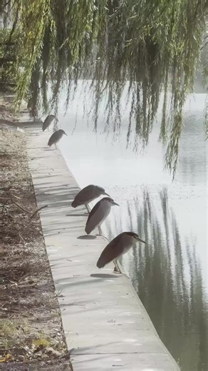 thanks for the suggestion, computer narrator! unfortunately, i havent the time, nor budget, nor capacity for sin necessary to take a trip to a foreign country. i'll continue sitting on my rear and looking at pictures of fat men on stock photo sites, thank you very much.