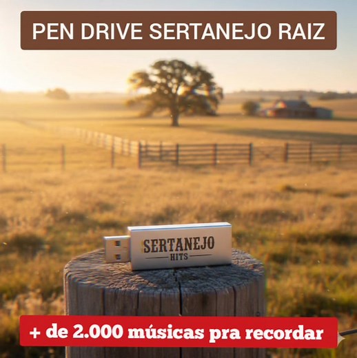 4.2K views · 54 reactions | Apresentamos o Pen Drive Sertanejo Raiz...