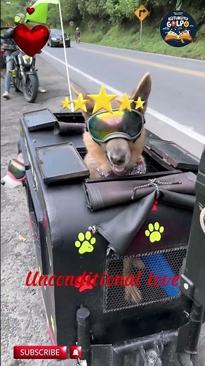 Unbreakable Bond Between Humans and Animals