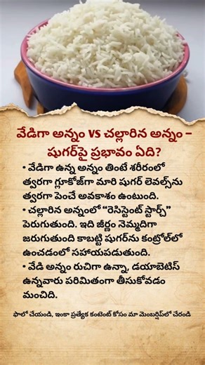 Hot Rice vs Cold Rice – Which Is Better for Blood Sugar Control?