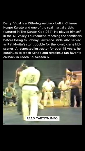 Karate Kid (1984) Rehearsal. Darryl Vidal vs. Dutch.