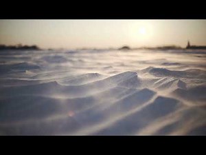 Snow Storm Close-up Free Background Videos, Motion Graphics, No Copyright | All Background Videos