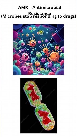 Understanding Antimicrobial Resistance (AMR) | Educational Short