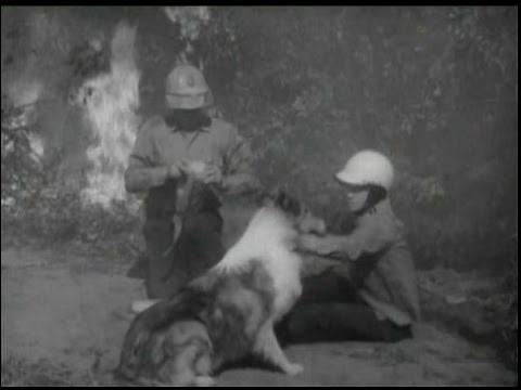 Lassie - Episode #379 - "Tinderbox" - Season 11, Ep. 27 - 03/21/1965