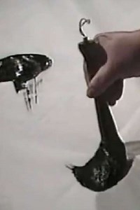 Zen, in Search of Enlightenment (1994) - Movie