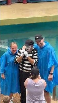 Best moments today! 😹 Tom the mime Seaworld #seaworldmime #funny #tomthemime