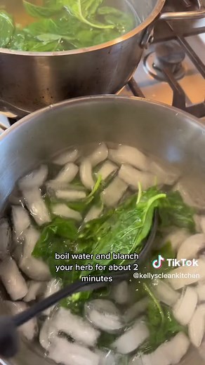 How to Make Basil Oil: Infused Herb Oil Recipe