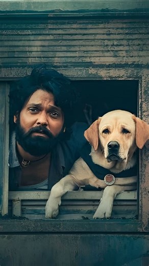 ~🎭 on Instagram: "❤️~Sometimes Dogs teaches Lesson🫠 Based on real incident.. . . . . . . . . . . . #trending #viralreels #memes #likeforlikes #reelsinstagram #collegelife #cooked #relatablememes #humanity"