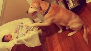 Acoustic songs 4 Music lovers, babies & Dogs 😜! | Kaiak