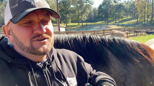 I’m still LHL! | Ima Survivor Donkey and Farm Animal Sanctuary