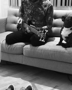 9.8K views · 788 reactions | + | Death From Above 1979 | Facebook