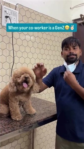 Pass on the scissors… say lessss!🙅🏻 ♀️😂#petstreetonline #petstreetteam #petstreet #team #petg