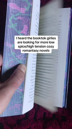 Discovering 'The Wind and the Wild' - A Cozy Romantasy