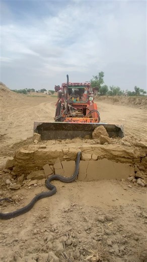The snake went into the pocket and started climbing up, the driver got worried!