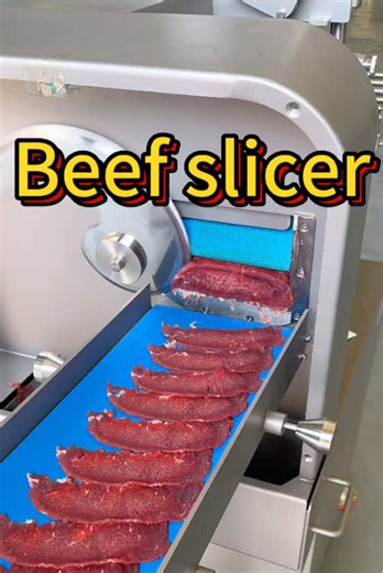 Fresh Meat Slicer: Revolutionizing Food Processing
