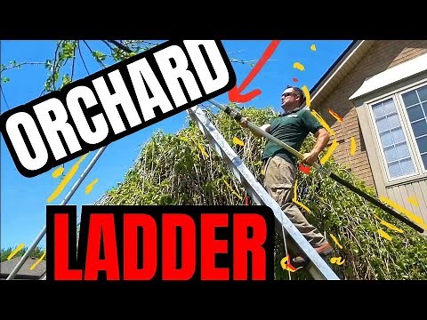 3 Reasons Why You Need an "Orchard Ladder" Immediately (Landscapers $ Arborists) Money Making Secret