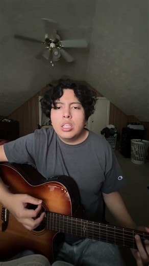 Naruto shippuden blue bird cover