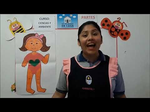 PARTES DEL CUERPO , para niños de 3 años , nivel inicial