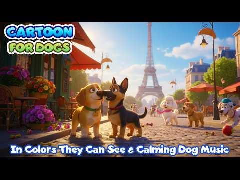24 Hours Dog Cartoon 🌈🐶 Blue & Yellow in Colors Dogs Can See | Adventure in Paris with Calming Music