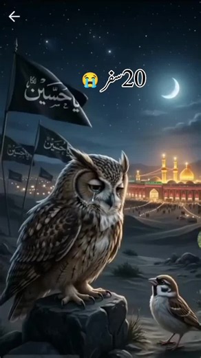 20 Safer Chahalm Ahlebait As — Sad Islamic History of Karbala