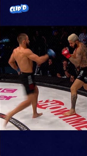 Worlds best ever front kick? #clipd #shortsfeed #shorts #mma