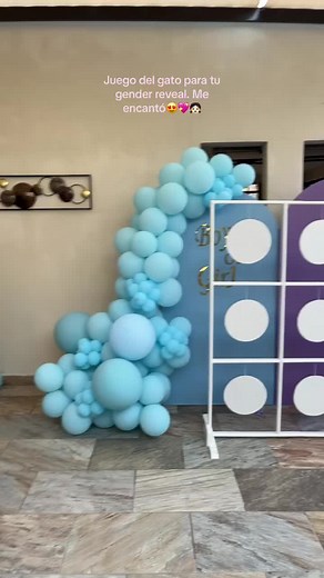 Juego del gato para la revelación de género