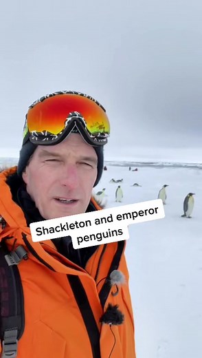 Exploring Shackleton's Endurance Expedition History