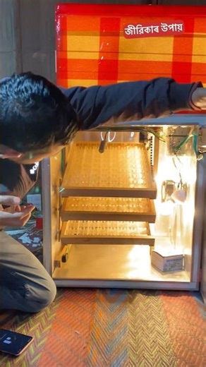 ৩১তাৰিখ ৯.৫৬ ত মই কি কৰিছোঁ? Incubator |Egg Incubator