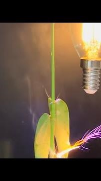 Tesla Coil Magic: Lightning a Bulb Without Wires!